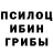 Галлюциногенные грибы мухоморы Dmitrii Torikov