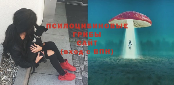 меф Пересвет