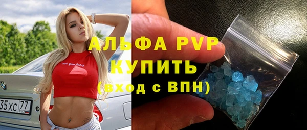 индика Переславль-Залесский