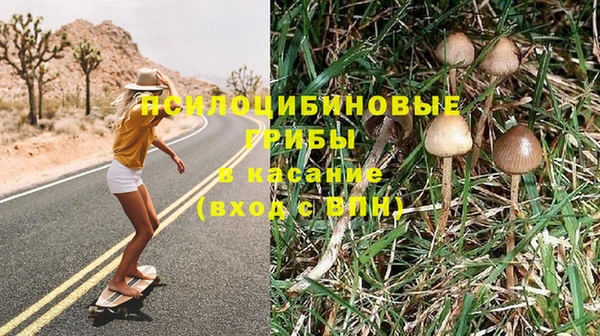скорость Пестово