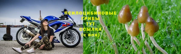 spice Баксан